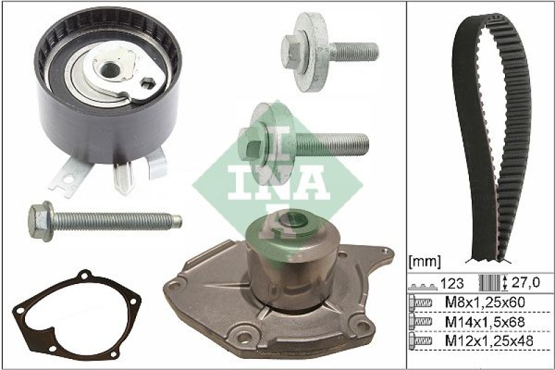 INA Water Pump & Timing Belt Set