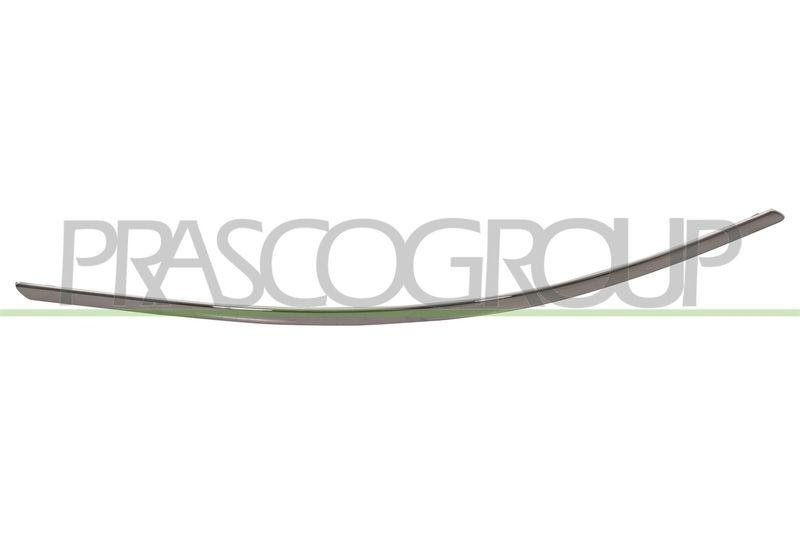 Trim/Protective Strip, bumper