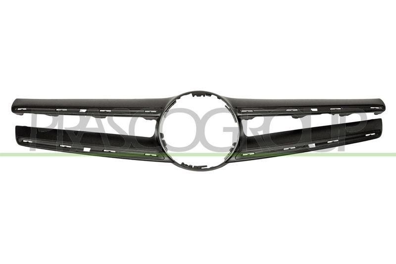 Trim/Protective Strip, radiator grille