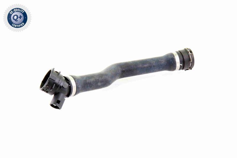 VAICO Radiator Hose Original VAICO Quality