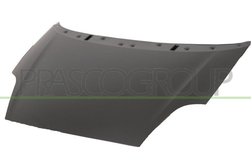 Bonnet Premium