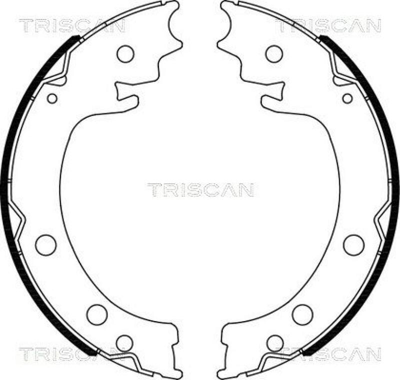 TRISCAN Brake Shoe Set, parking brake