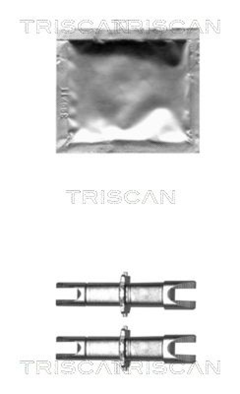 TRISCAN Adjuster, braking system