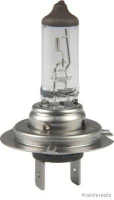HERTH+BUSS ELPARTS Bulb