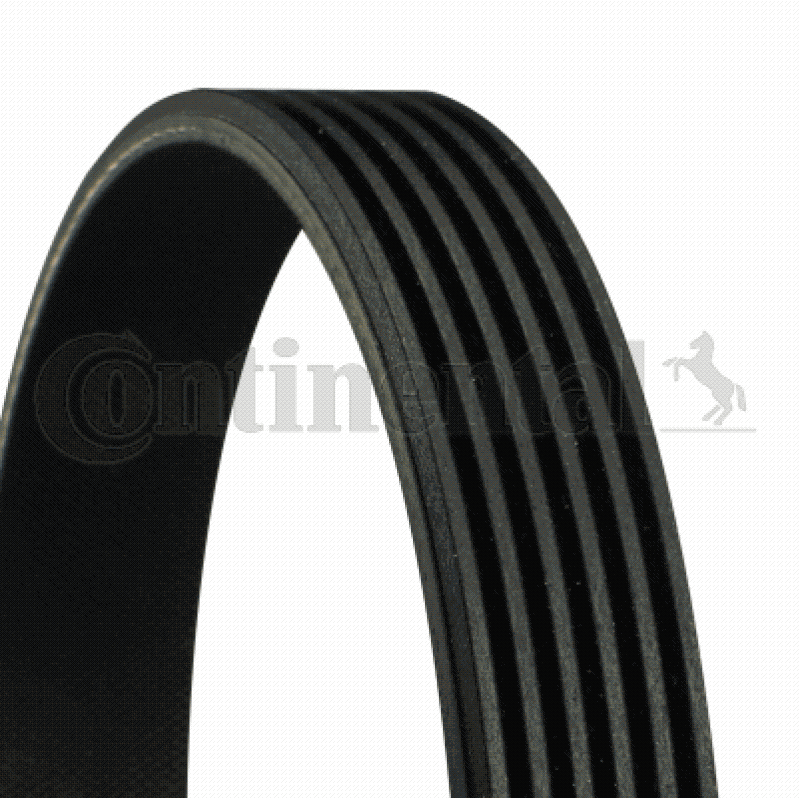 CONTITECH V-Ribbed Belts