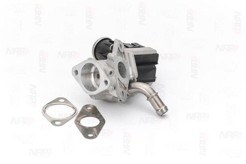NAP carPARTS AGR-Ventil