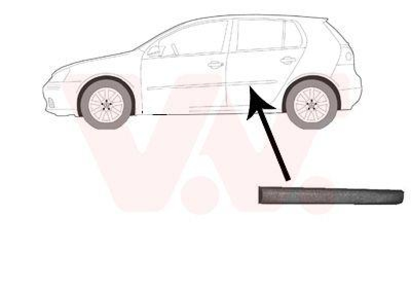 VAN WEZEL Trim/Protective Strip, door