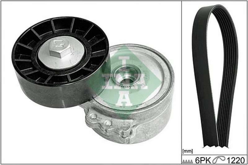 INA V-Ribbed Belt Set