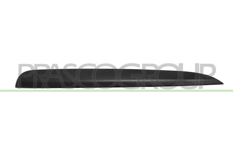 Trim/Protective Strip, radiator grille