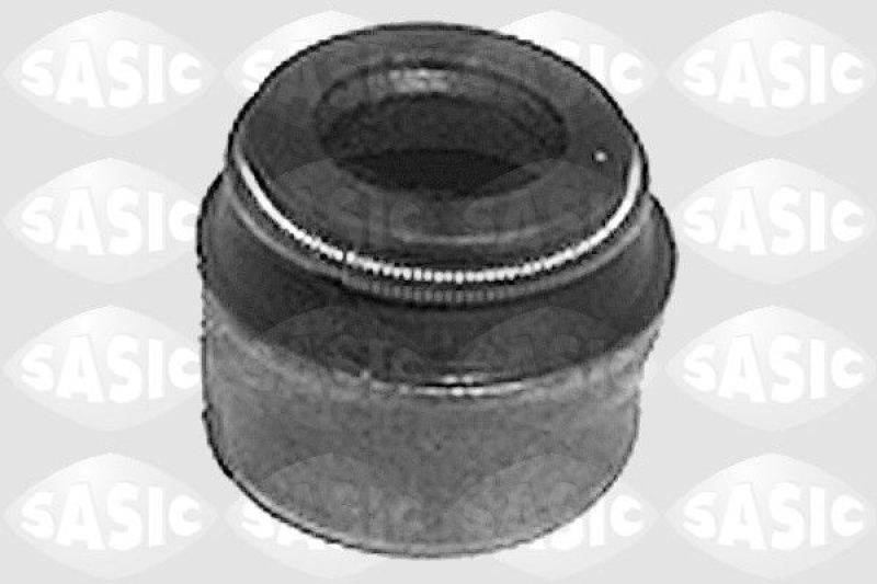 SASIC Seal Ring, valve stem