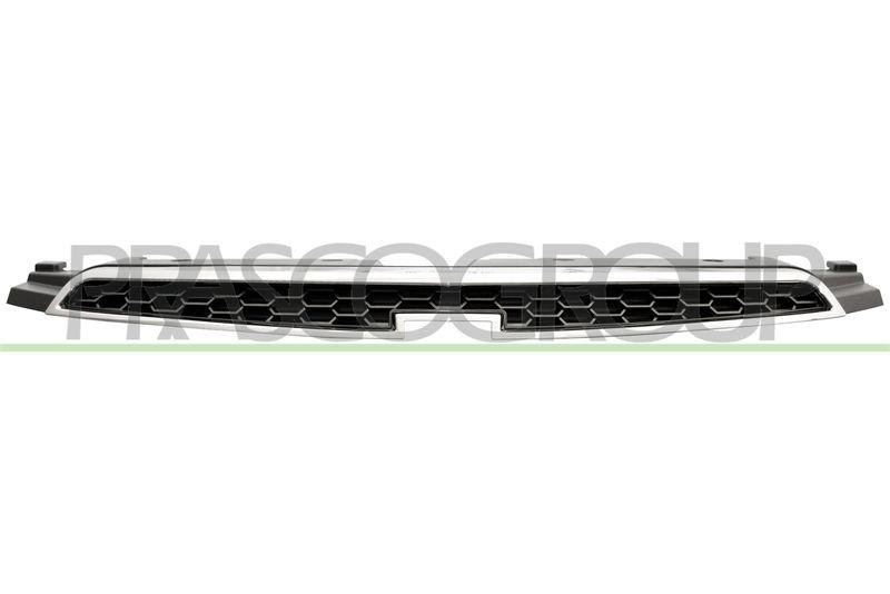 Radiator Grille