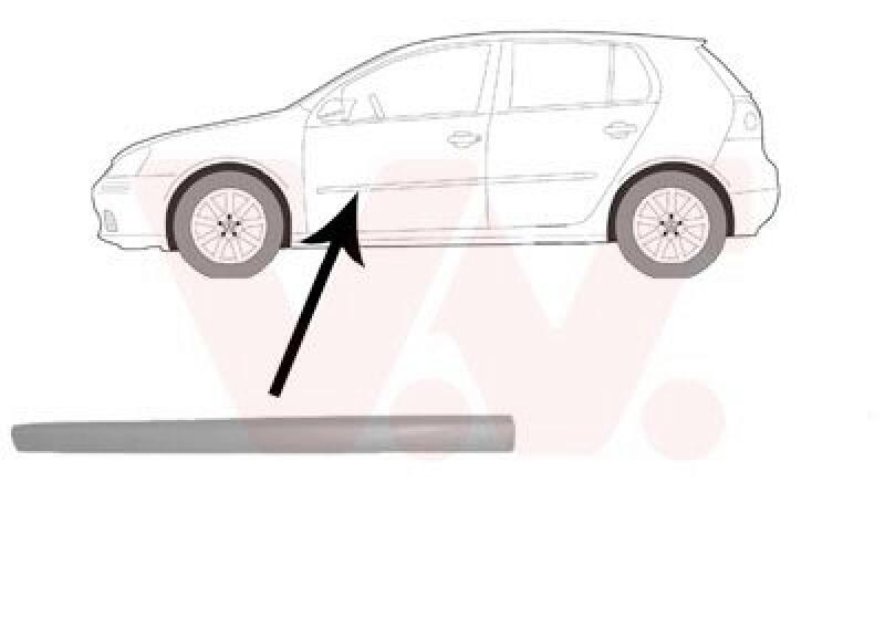 VAN WEZEL Trim/Protective Strip, door