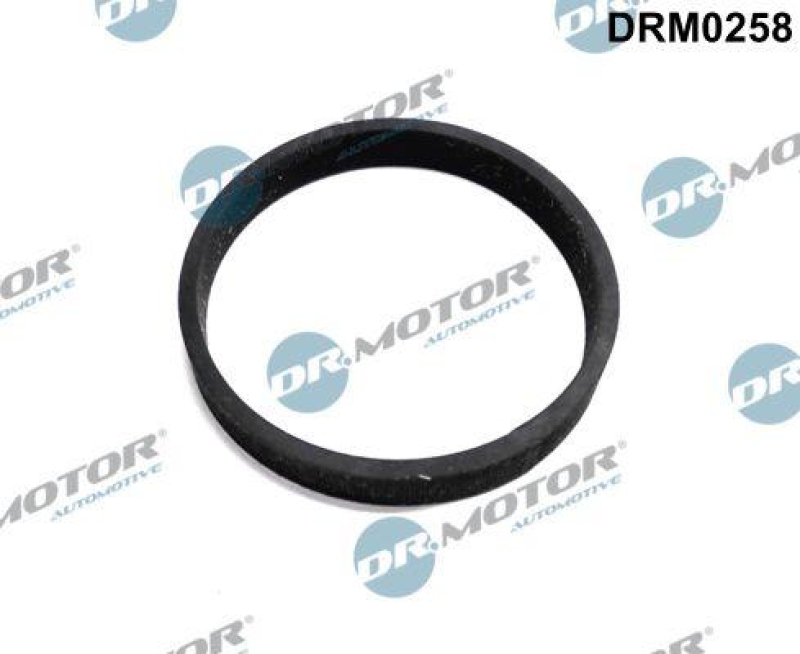 Dr.Motor Automotive Dichtung, Turbineneinlass (Lader)