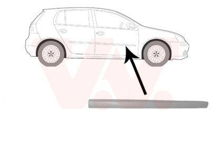 VAN WEZEL Trim/Protective Strip, door