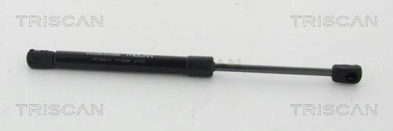 TRISCAN Gas Spring, bonnet