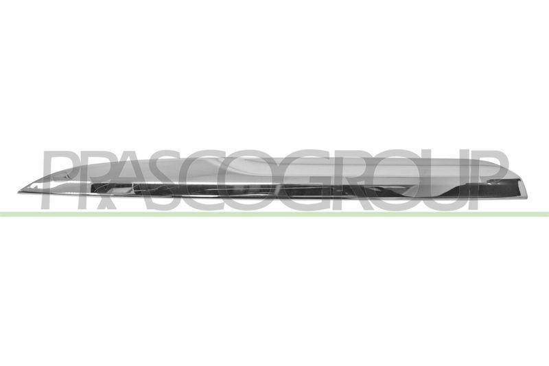 Trim/Protective Strip, radiator grille