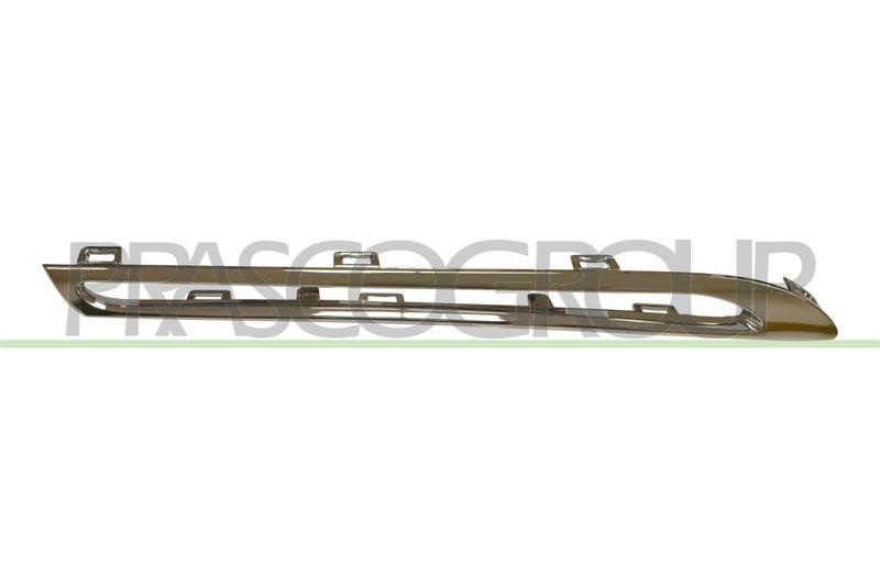 Trim/Protective Strip, radiator grille