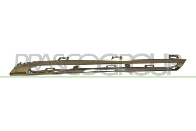 Trim/Protective Strip, radiator grille