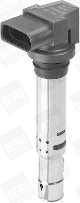 BorgWarner (BERU) Zündspule