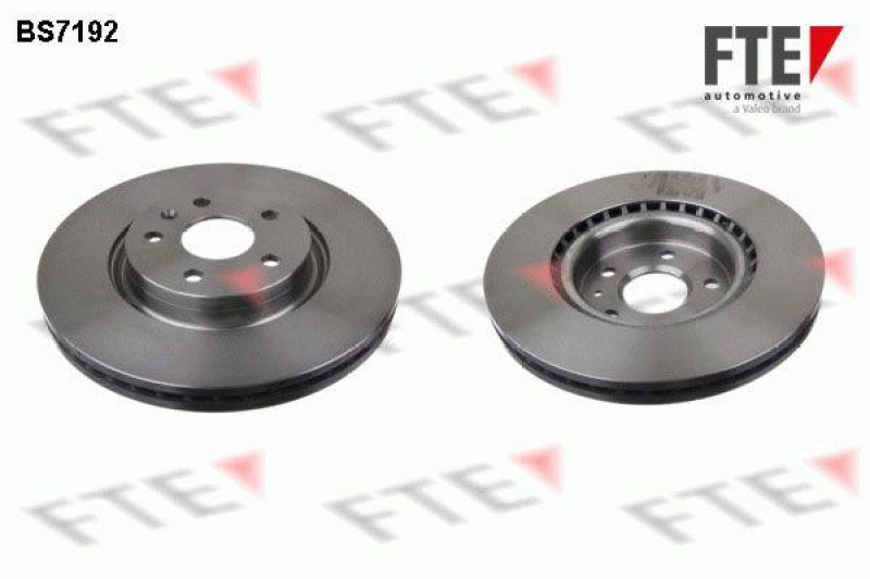 2x FTE Brake Disc