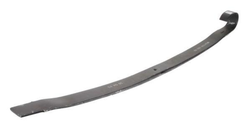 Magnum Technology Spring Leaf