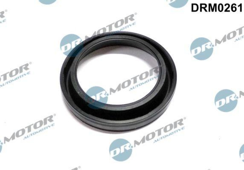 Dr.Motor Automotive Dichtung, Düsenhalter