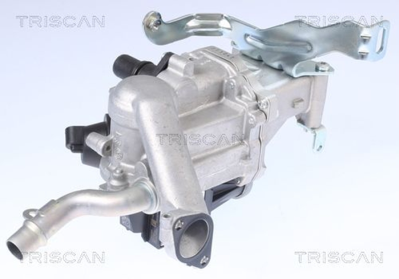 TRISCAN EGR Valve