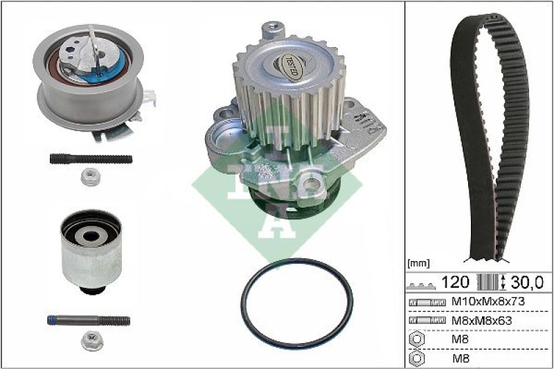 INA Water Pump & Timing Belt Set