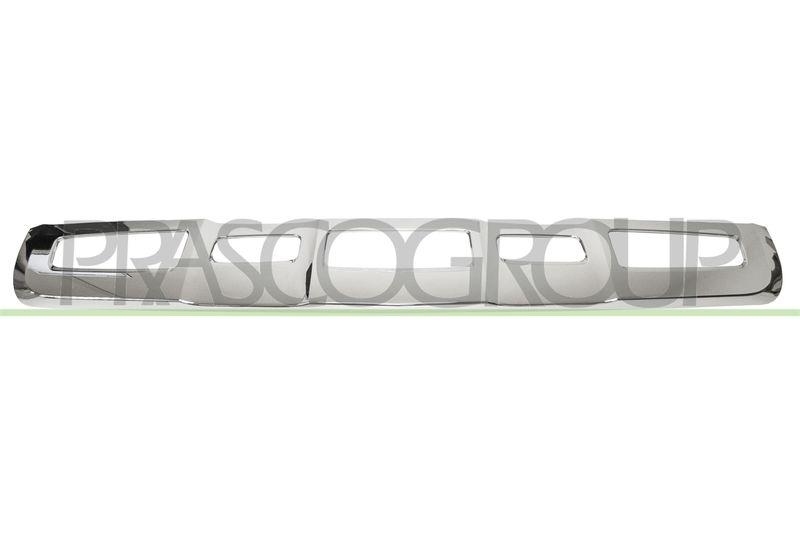 Trim/Protective Strip, radiator grille