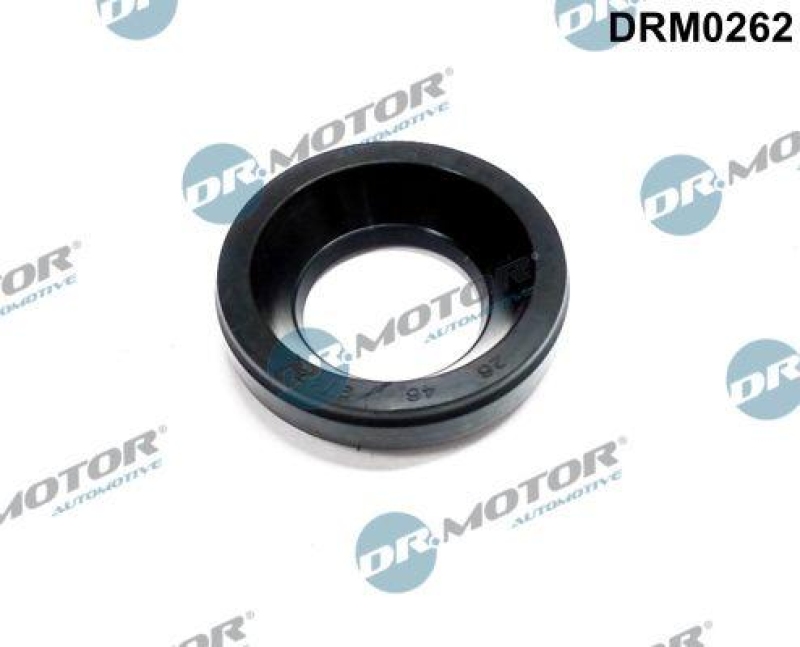 Dr.Motor Automotive Dichtung, Düsenhalter