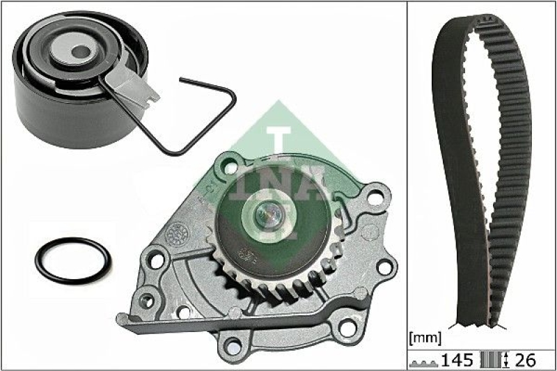 INA Water Pump & Timing Belt Set