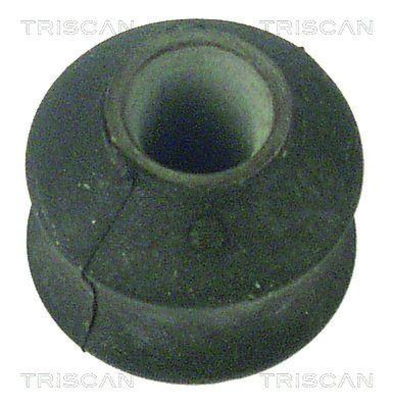 TRISCAN Bearing Bush, stabiliser