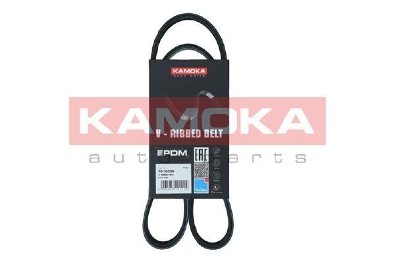 KAMOKA Keilrippenriemen 7016029