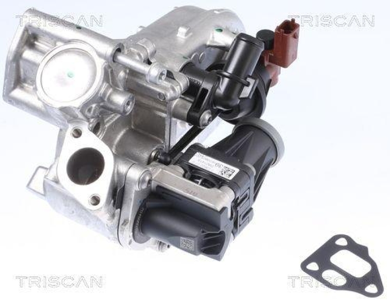 TRISCAN EGR Valve