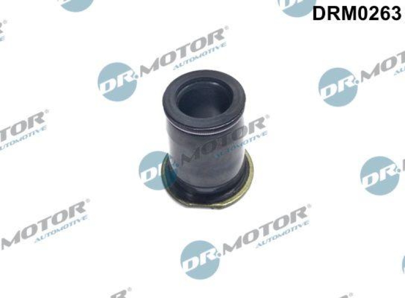 Dr.Motor Automotive Dichtung, Düsenhalter