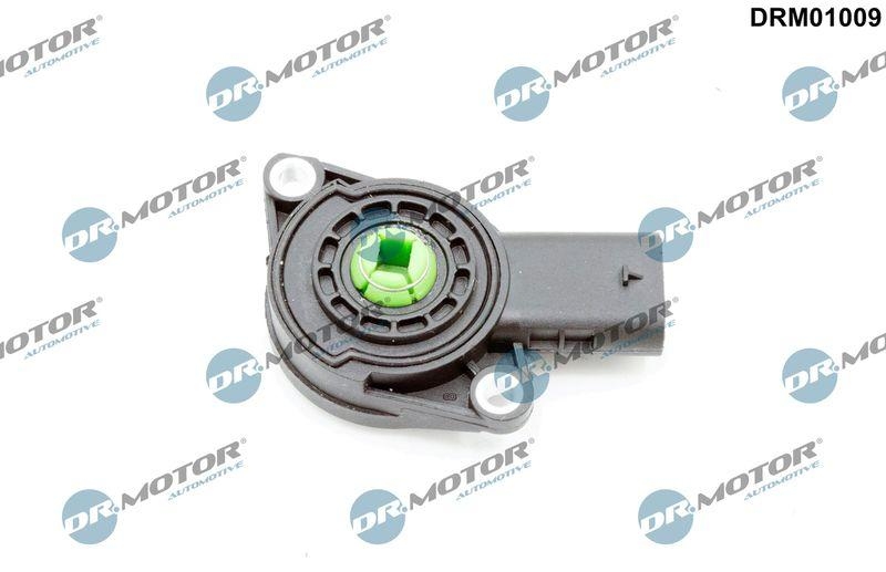 Dr.Motor Automotive Sensor, Saugrohrumschaltklappe