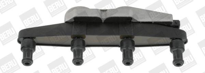 BorgWarner (BERU) Ignition Coil