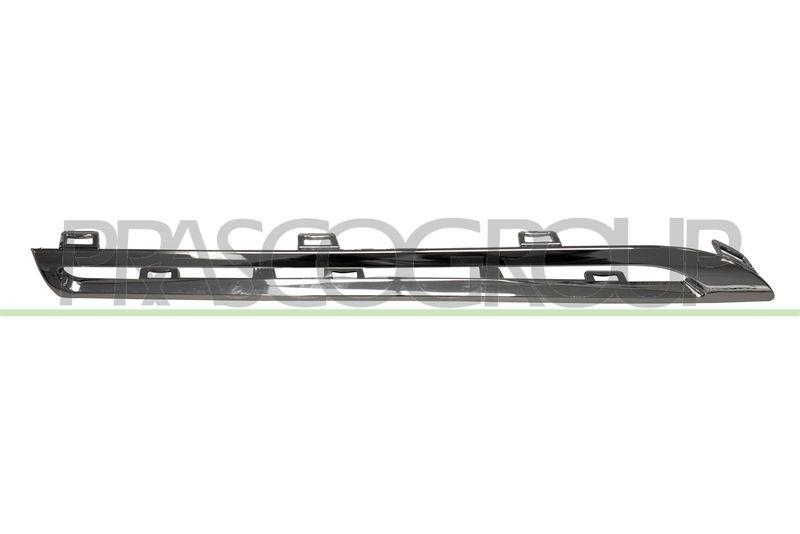 Trim/Protective Strip, radiator grille