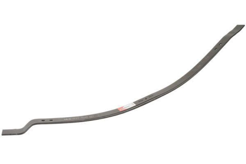 Magnum Technology Spring Leaf