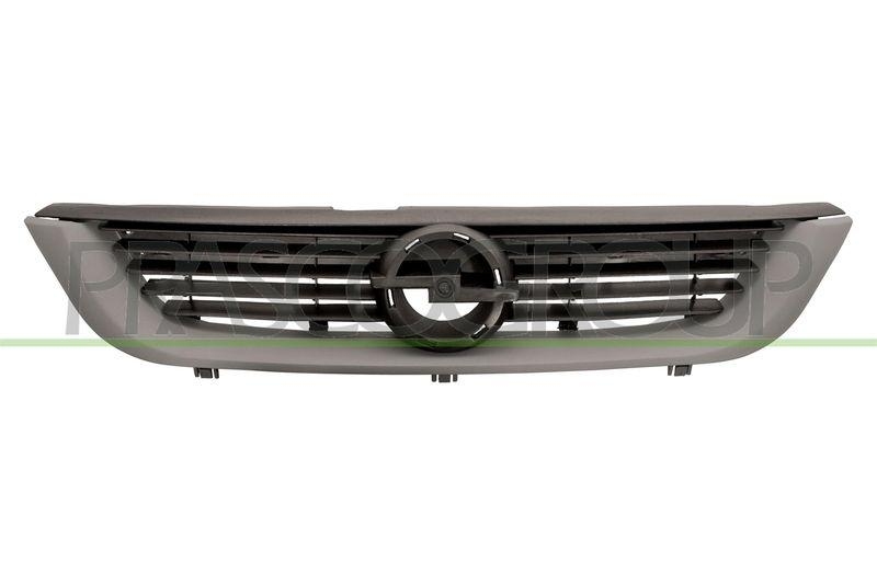 Radiator Grille