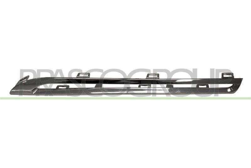 Trim/Protective Strip, radiator grille