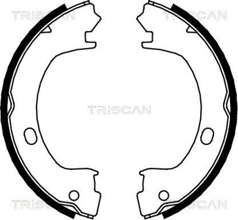 TRISCAN Brake Shoe Set, parking brake