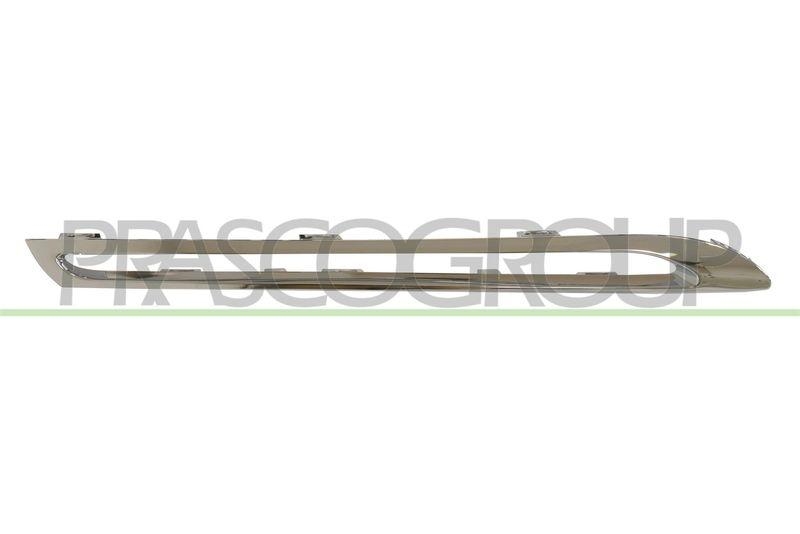 Trim/Protective Strip, radiator grille