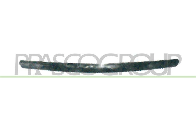 Trim/Protective Strip, radiator grille Premium