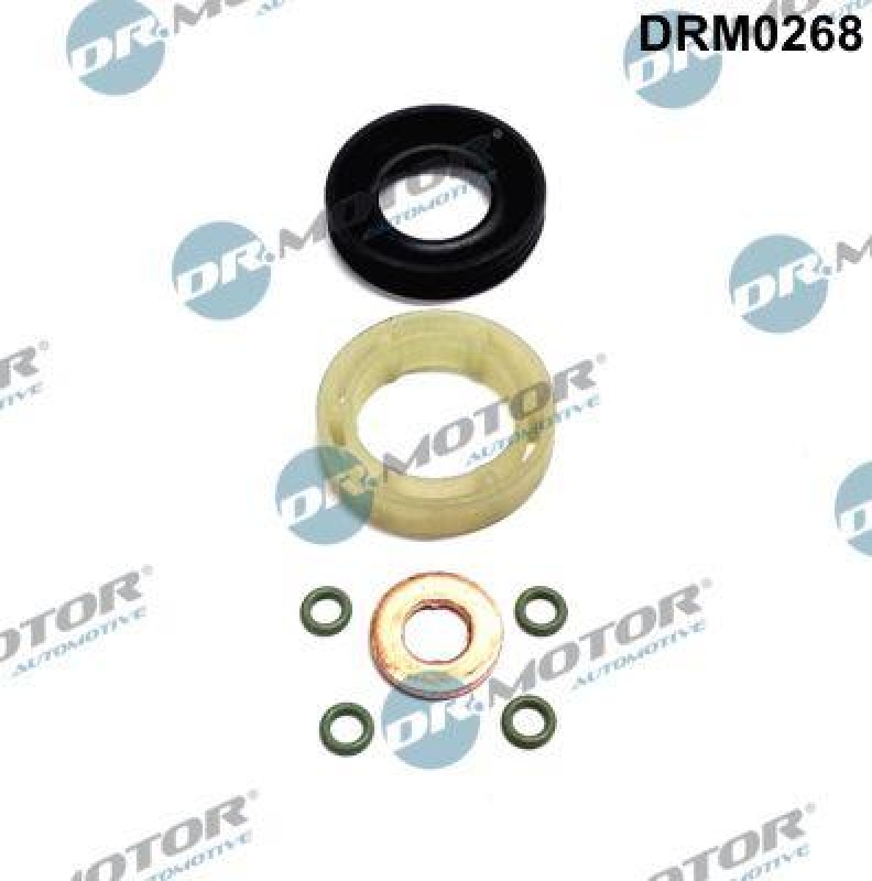 Dr.Motor Automotive Dichtungssatz, Einspritzdüse