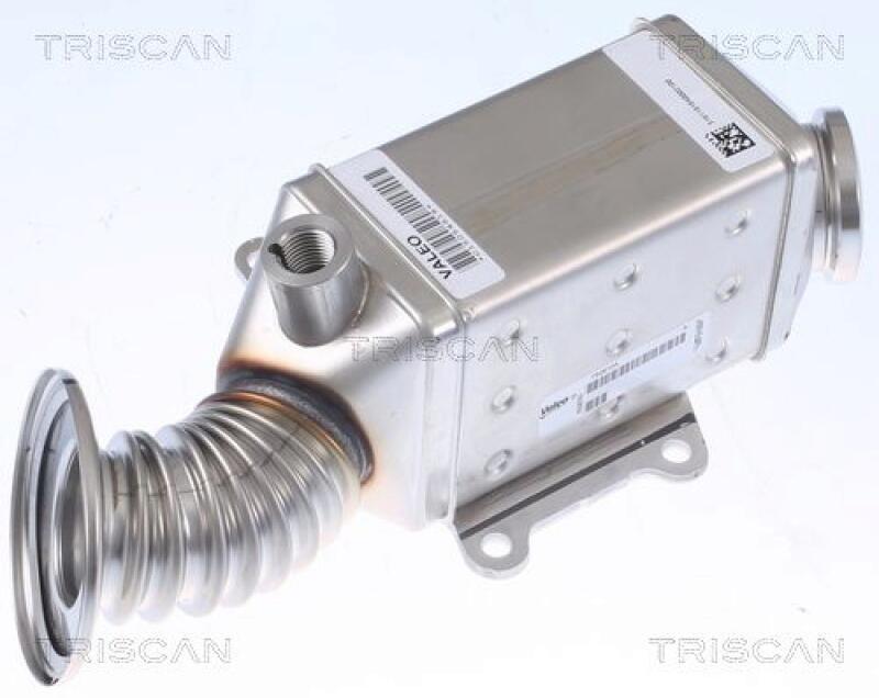 TRISCAN K&uuml;hler, Abgasr&uuml;ckf&uuml;hrung 8813 10115