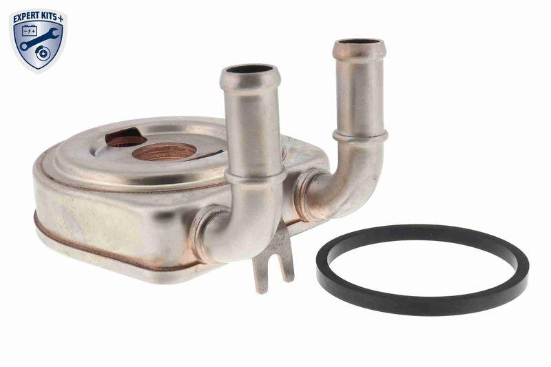VEMO Ölkühler, Motoröl EXPERT KITS + V22-60-0045