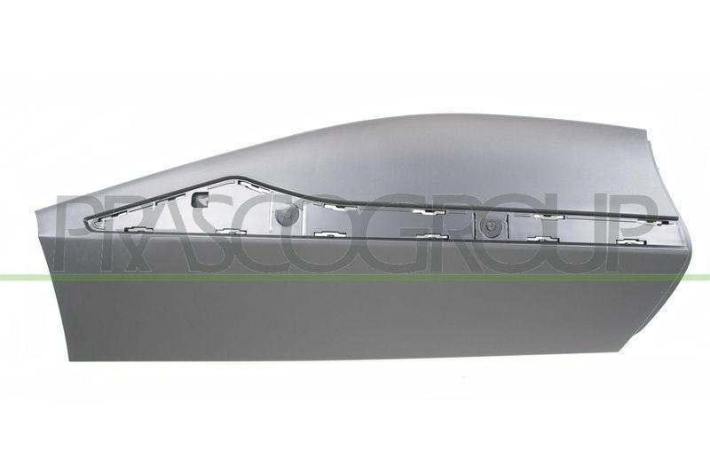 PRASCO Zier-/Schutzleiste, T&uuml;r RN7001473