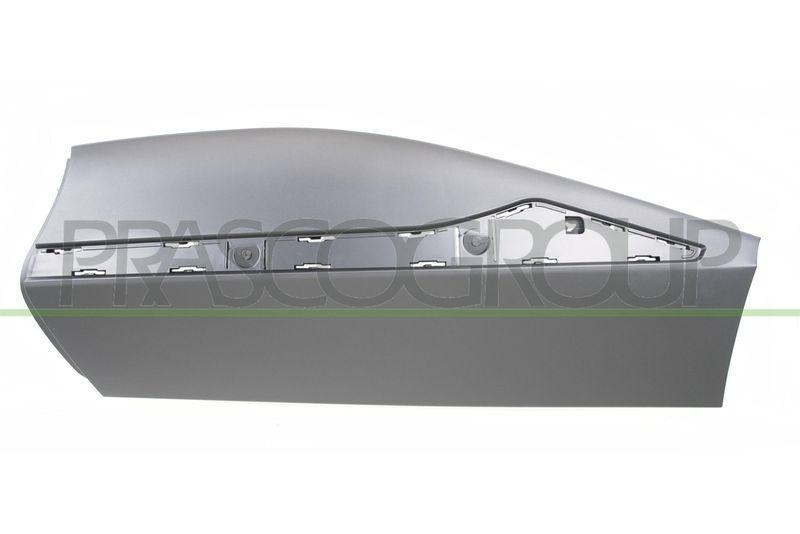 PRASCO Zier-/Schutzleiste, T&uuml;r RN7001474