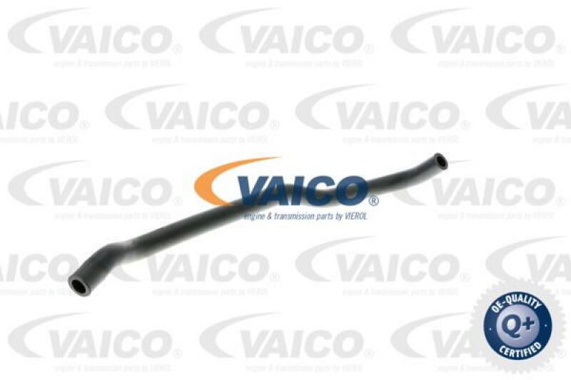 VAICO Hose, crankcase breather Q+, original equipment manufacturer quality